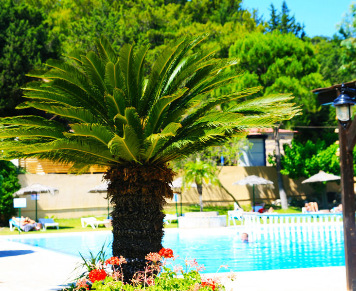 Achousa Hotel Faliraki Eksteriør billede